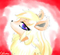 Koru, a smug beauty