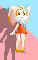 Cream the Bun