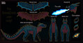 [C] Dragon Adopt sheet by DasFireEbony