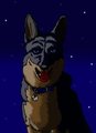 My ferral furrssona by canismors
