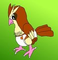 Poopy Pidgey