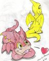 Scorchio like to Shoyru by Boxice