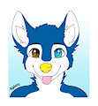 Ocean the husky by HoneydewFox92