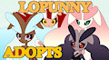 Lopunny Adopts