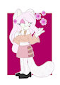 Cherry blossom appear.