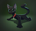 Manchas
