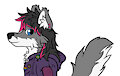 Shaz Sideshot