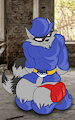Sly Cooper