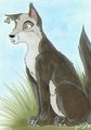 It's me by Chaywolf