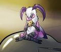 Moth's Favorite Place