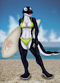 Surfer Orca