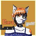 Ciera pixel