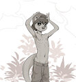 Cub Rokuke
