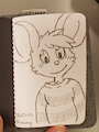 Sketch Wallet Sketch