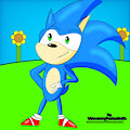 Sonic the Hedgehog