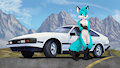 Car Photography