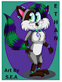 Ethan Raccoon
