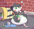 Trash Possum Problem