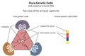 Puca DNA design