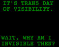 Trans Day of Visibility