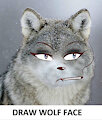 The wolf face