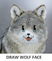 Draw Wolf Face Meme