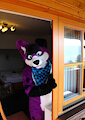 What? It is Fursuit Friday again?