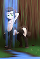 Centaur Shower