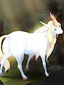 [SFW] Nova, The Light Spirit