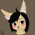 Female Jay Headshot