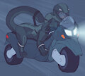 Night Ride