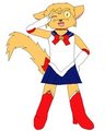 in the name of the Moon, I will punish you! by gaki