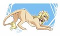 Feral Leo