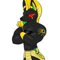 Anubian Jackal by Immelmann
