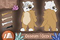 Osseum the Cubone