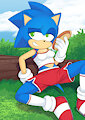 Female Sonic by s4lt0r11