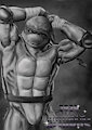 Sexiest Donatello