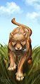 Cheetah by Vorpale