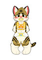 Cat In Diaper/穿纸尿裤的猫猫