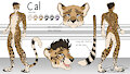 [C] Cal