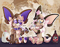 Chocolate Milk Chihuahuas