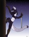 Kunoichi Kitten