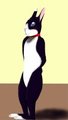 Levvy Body Outline by Junion