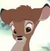 The deer, the fox and the hound