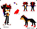 Akito The Hedgehog Ref by xSonadowLover103x