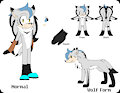 Soul The Hedgehog Ref by xSonadowLover103x