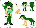 Ryan The Hedgehog Ref by xSonadowLover103x