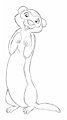 Fewwety by sqrl