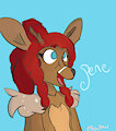 Twitter profile 1
