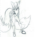 Tammy (Tails)
